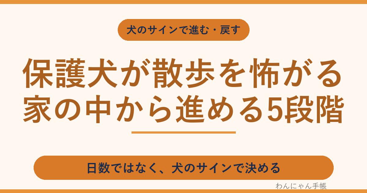 保護犬が散歩を怖がる・歩かない|家の中から進める5段階