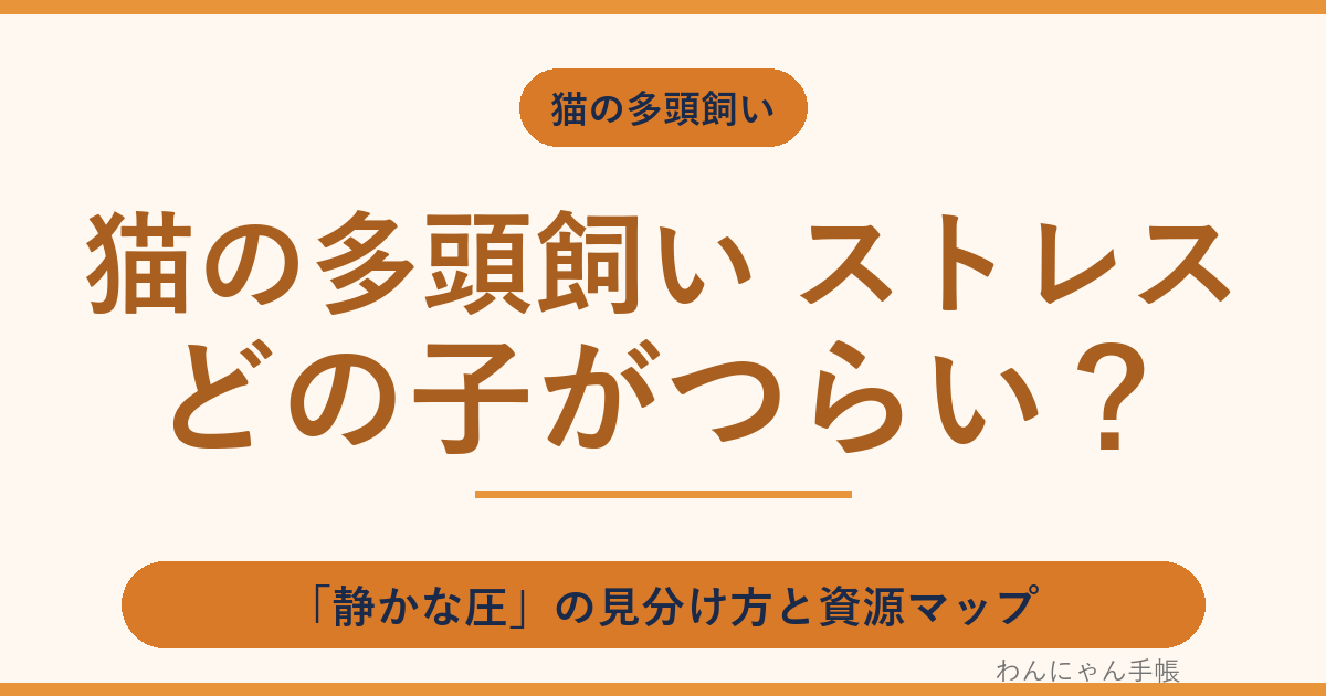 猫の多頭飼いでストレスを受けているのはどの子?サインと見分け方