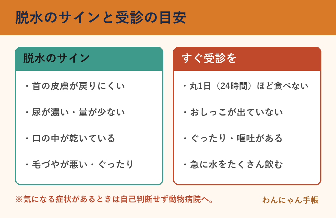 猫の脱水のサインとすぐ受診すべき目安