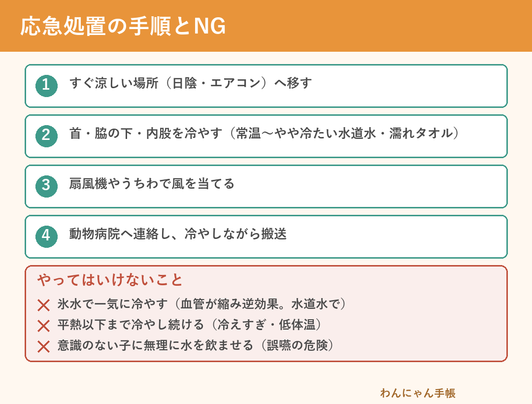犬の熱中症の応急処置の手順とやってはいけないこと