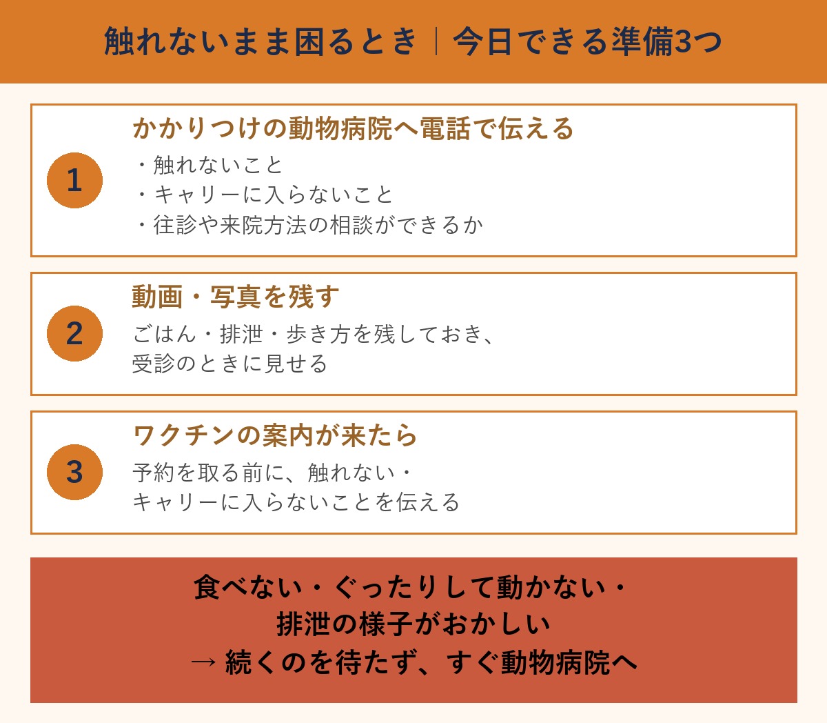 触れない保護猫のために今日できる準備3つの図。獣医へ電話で伝える3点、動画と写真を残す、ワクチンの案内が来たら予約前に伝える。体調の変化はすぐ動物病院へ