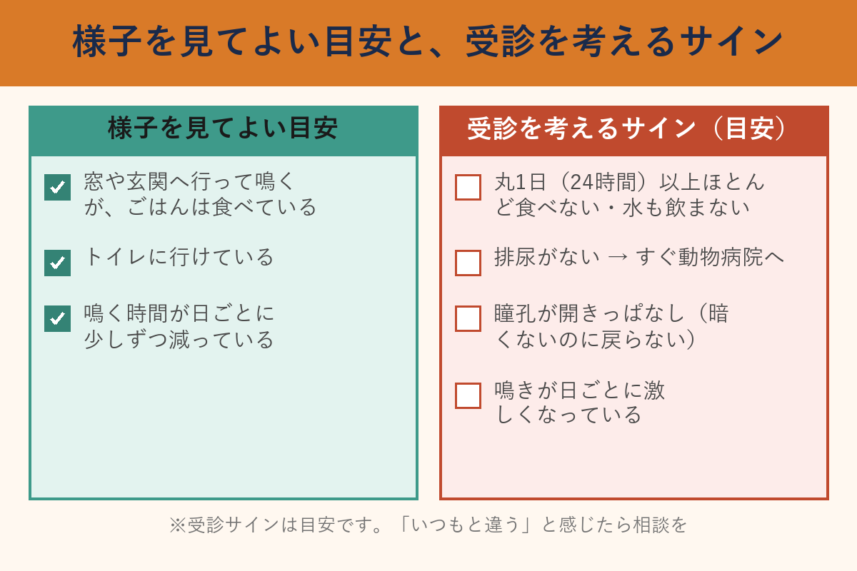 様子を見てよい目安と受診を考えるサインのチェックリスト